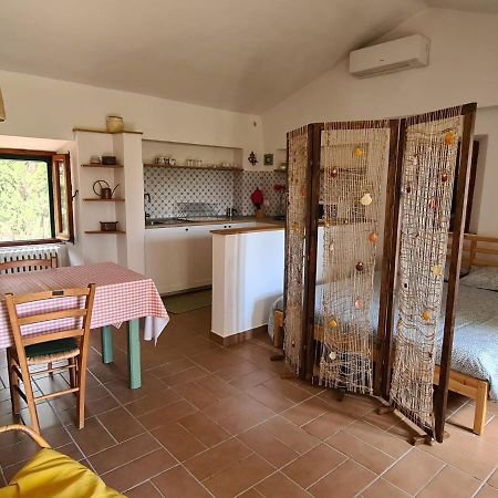 Il Casale Delle Farfalle Sirolo Dış mekan fotoğraf