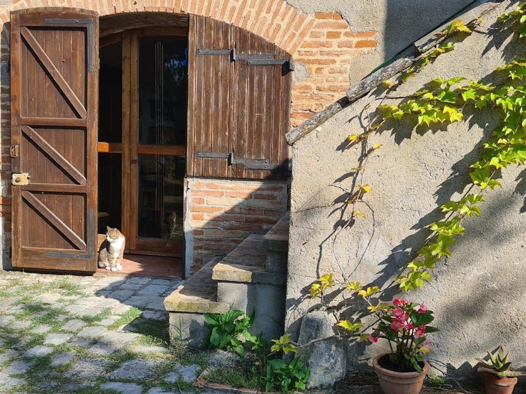 Il Casale Delle Farfalle Sirolo Dış mekan fotoğraf